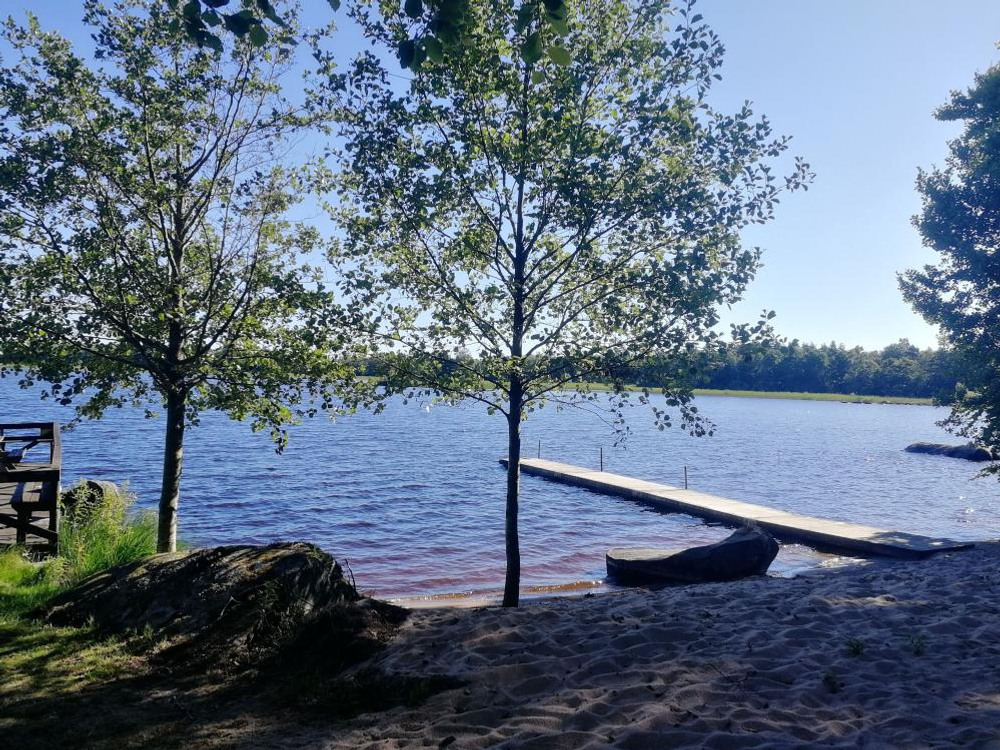 Badplats. Brygga vi sandstrand. Två lövträd står vi strandkanten