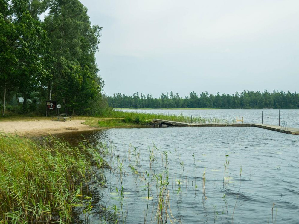 Sandstrand vid skog. Brygga i vinkel