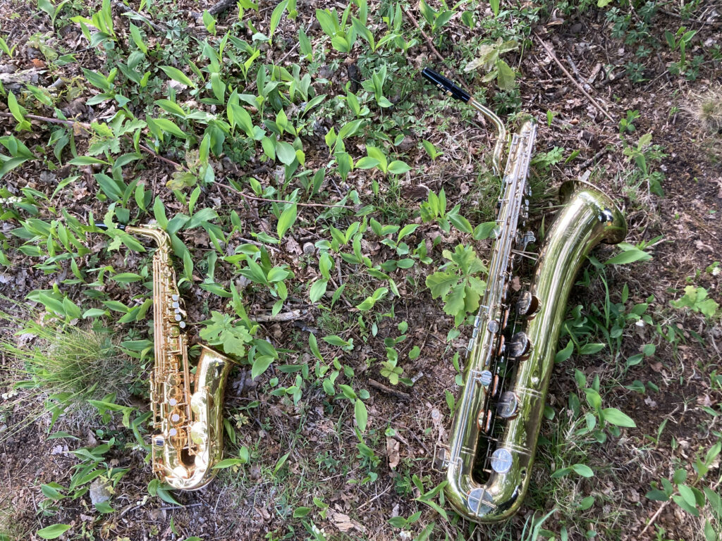 Två saxofoner som ligger på marken utomhus 