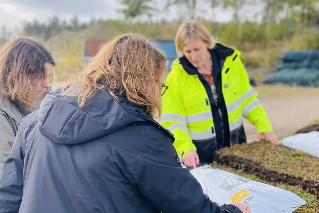 Tre kvinnor, en i gula varselkläder, står vid högar med kvadratiska växtplattor