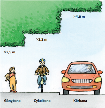 Träd som hänger ut på gångväg. Illustrationerna visar hur lågt grenar får hänga på gångbana (2,5m), cykelbana (3,2m) och körbana (4,6 m)