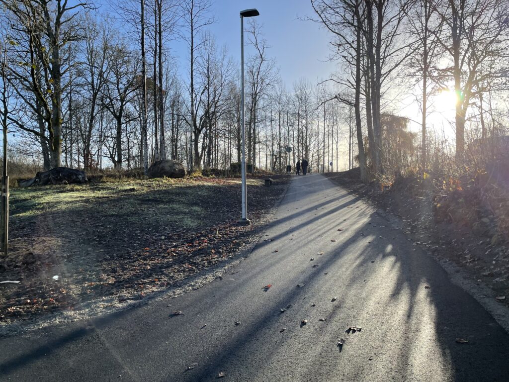 Cykelväg genom grönområde.
