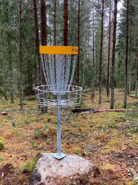 Korg för discgolf i skogsmiljö.