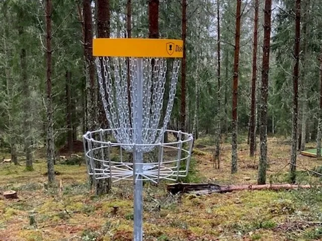 En discgolfkorg mitt i en skog