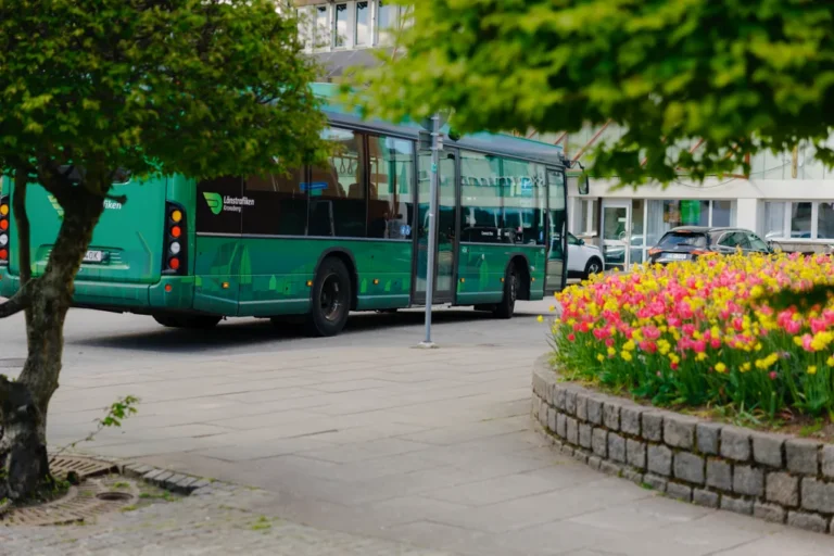 En grön buss som står vid  en plantering med gula och rosa tuplaner
