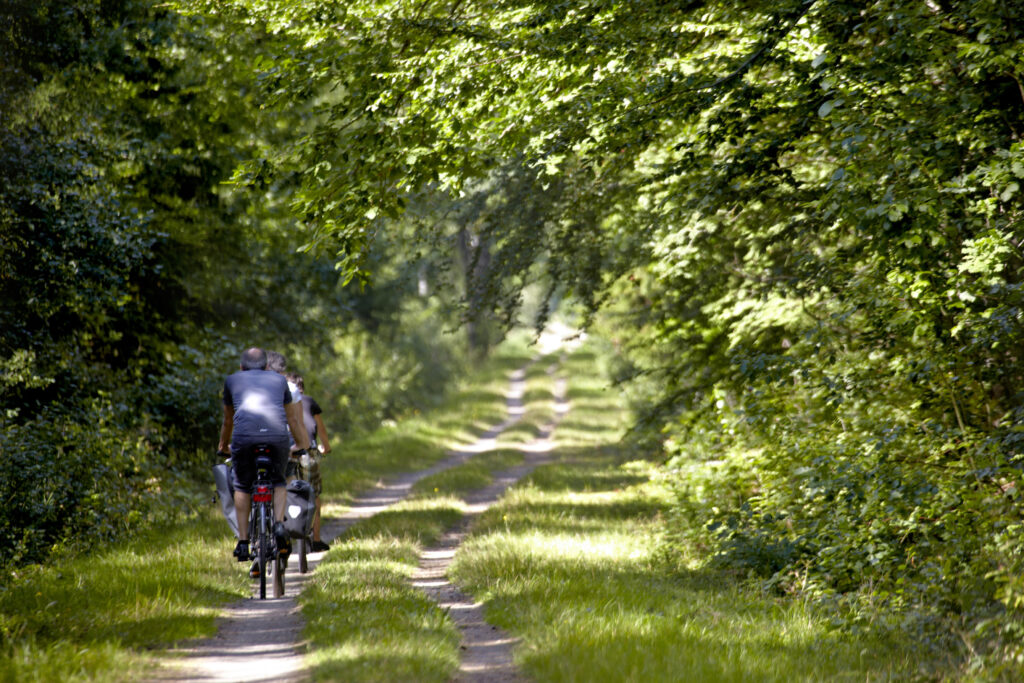 En man cyklar på en grusväg.