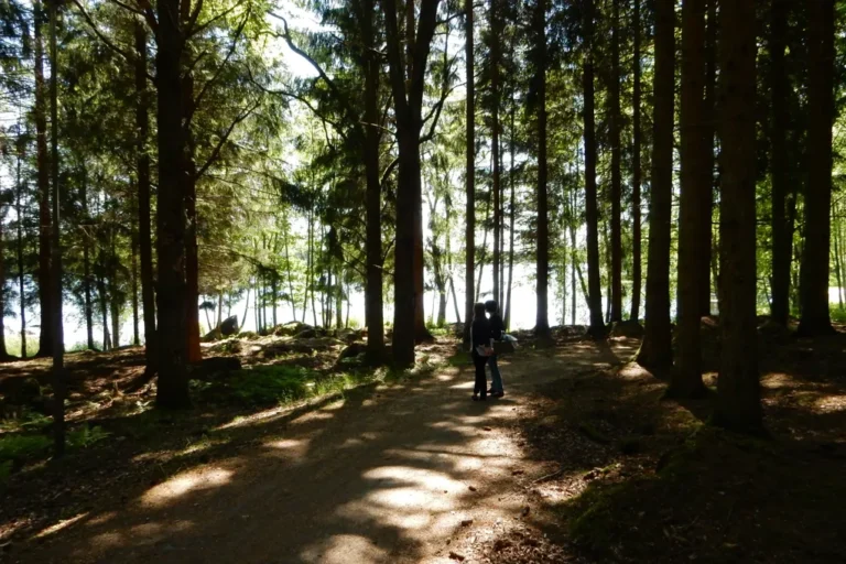 Två personer står på en grusväg genom en skog.