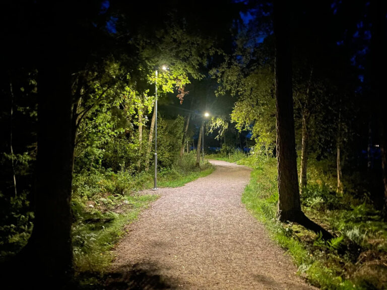 En upplyst liten väg kantad av skog på natten.