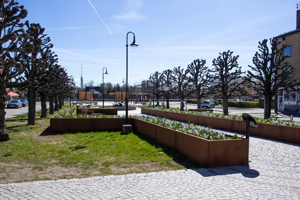 En rad planteringskärl i en liten stadspark
