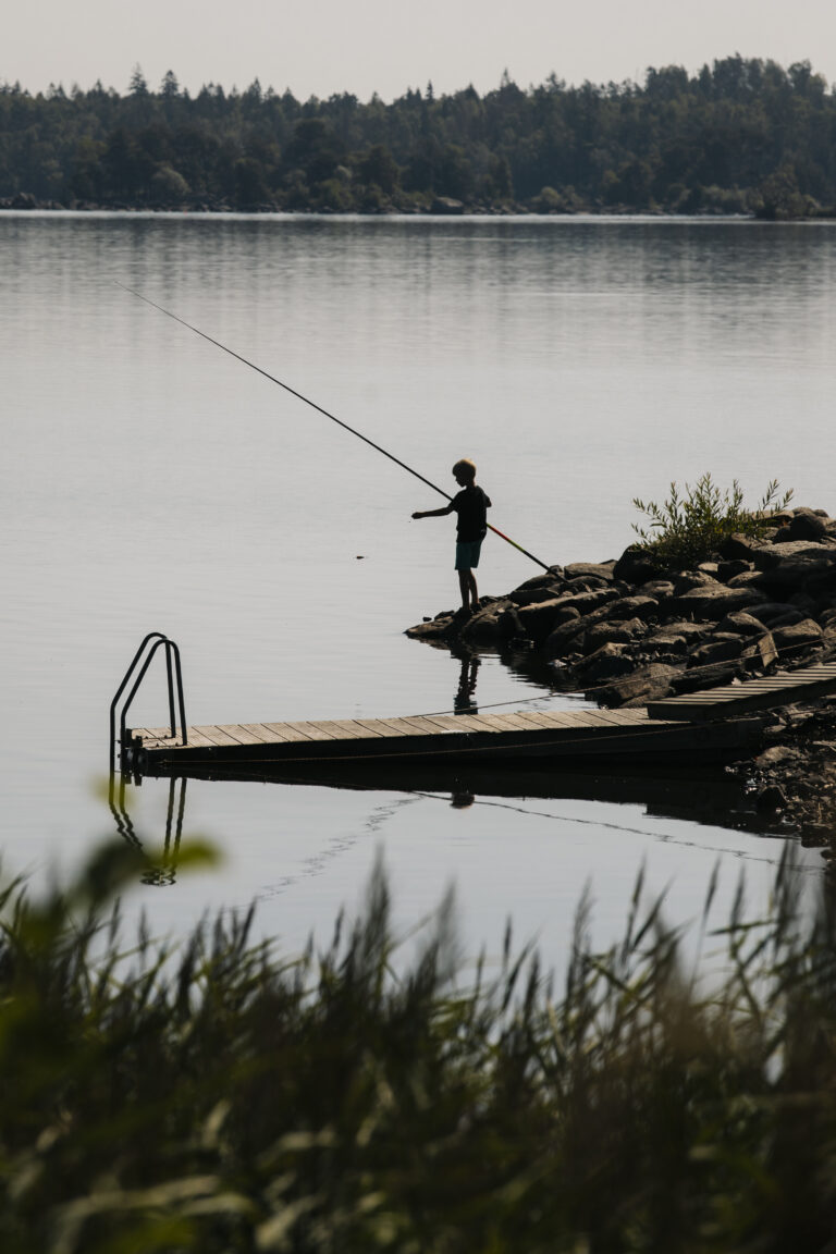 En person fiskar vid en strandkant i skymningen.